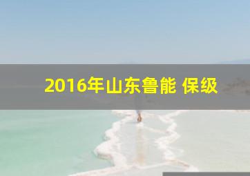 2016年山东鲁能 保级